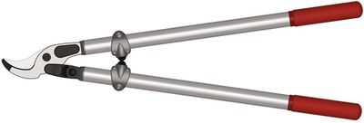 Felco Takkenschaar | lengte 800 mm | snijvermogen 40 mm | gewicht 1335 g | 1 stuk - Felco 220 Felco 220
