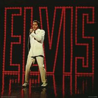 Elvis Presley Live Album Cover 30.5x30.5cm - thumbnail