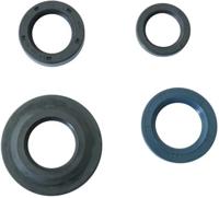 ATHENA Simmerring set vespa