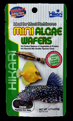 Hikari Mini Algae Wafers - 22 gram