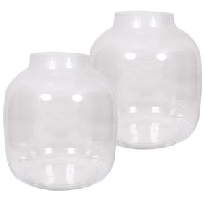 2x stuks ronde vaas helder glas 29 cm