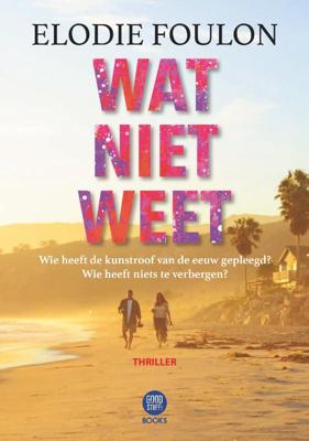 Wat niet weet (Paperback)