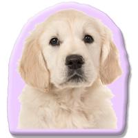 Kleur Voorzijde: - Pillow Buddies