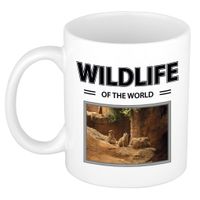 Stokstaartje mok met dieren foto wildlife of the world - thumbnail