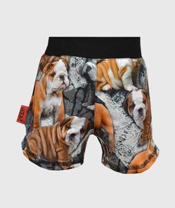 Short Pants Bulldog