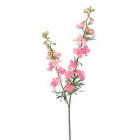 Delphinium tak zalm roze - Buitengewoon de Boet - thumbnail