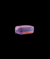 Patagonia Black Hole Cube 3L Toilettas Brisk Purple ALL