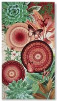 Muller Textiles 7158.99.81 100 x 180 cm - thumbnail
