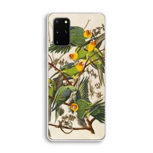 Carolinaparkiet: Samsung Galaxy S20 Plus Transparant Hoesje