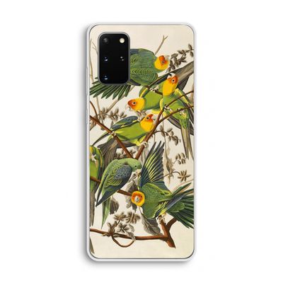 Carolinaparkiet: Samsung Galaxy S20 Plus Transparant Hoesje