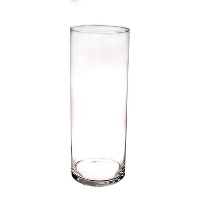 Bellatio flowers & plants Hoge glazen cilinder bloemenvaas - 40 x 15 cm - Transparant