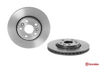 Remschijf COATED DISC LINE BREMBO, Remschijftype: Binnen geventileerd, u.a. für Renault, Mercedes-Benz, Nissan