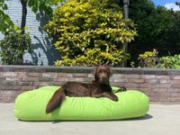 Dog's Companion® Hondenbed lime superlarge
