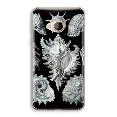Haeckel Prosobranchia: HTC U Play Transparant Hoesje