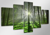 Schilderij - Zonlicht door de bomen, Bos,   100x50 cm.  5 luik, wanddecoratie - thumbnail