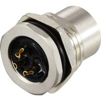 TRU COMPONENTS TC-12833196 Sensor/actuator inbouwbus M12 Aantal polen (sensoren): 3 Bus, inbouw 1 stuk(s)