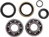 ALL BALLS Racing Crankshaft bearing set ab 24-1099 with simmerrings