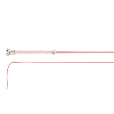 BR Fornax Zweep roze maat:110