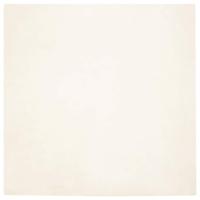 Nep Konijnenbont Tapijt Wit 240 x 240 cm Polyester