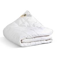 Dekbed 100% Eendenveren 4 Seizoenen - Enkel - 140x200 cm (Eenpersoons) - Presence - 500 gram (200+300 gr) - Dekbed-Discounter.nl