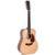 Sigma Guitars DM12-1 12-snarige akoestische westerngitaar