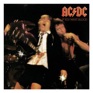 AC/DC Rock Saws Jigsaw Puzzle If You Want Blood (500 pieces)