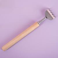 Telescopic Back Scratcher