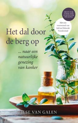 Het dal door de berg op (Paperback)