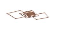 Trio Bruine plafondlampTrail design - R64493165
