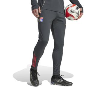 adidas Olympique Lyon Trainingsbroek 2025-2026 Donkergrijs Goud Rood Blauw