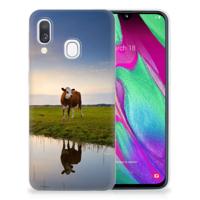 Samsung Galaxy A40 | TPU Hoesje | Koe
