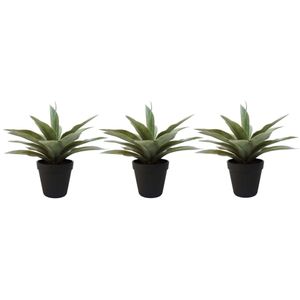 Set van 3x stuks kunstplanten Agave grijs/groen in zwarte pot 19 cm