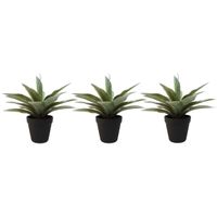 Set van 3x stuks kunstplanten Agave grijs/groen in zwarte pot 19 cm - thumbnail