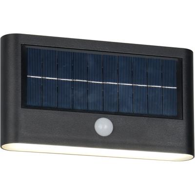 LED Tuinverlichting - Trion Elmar - Wandlamp Buitenlamp - 1 Lichtpunt van 8 Watt - Natuurlijk Wit 4000K - Schemeringsensor - Bewegingssensor - IP44 - Mat Zwart - Kunststof