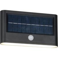 LED Tuinverlichting - Trion Elmar - Wandlamp Buitenlamp - 1 Lichtpunt van 8 Watt - Natuurlijk Wit 4000K - Schemeringsensor - Bewegingssensor - IP44 - Mat Zwart - Kunststof