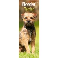 Border Terrier Kalender 2026 Slimline