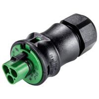 Wieland Electric X6.032.4055.7 Steekverbinder