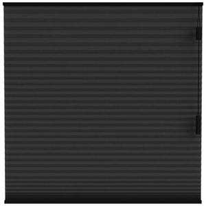 Fenstr plisségordijn Boston dubbel 25mm lichtdoorlatend - zwart (15020) - Leen Bakker