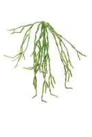 Kunst hangplant cactus helder groen l65cm