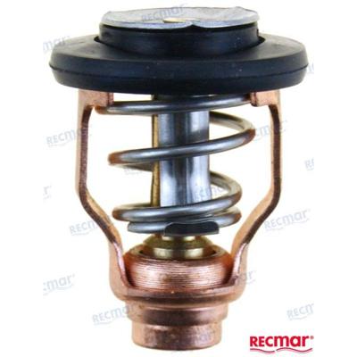 REC6D9-12411-00 - YAMAHA THERMOSTAAT 55 graden