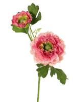 Ranonkel, 2x vertakt met bloemen knop d.roze kunstbloem zijde nepbloem - Driesprong collection
