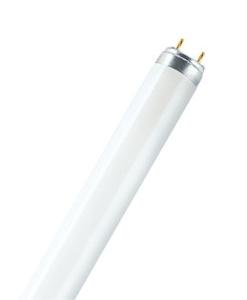 OSRAM TL-lamp Energielabel: G (A - G) G13 18 W Warmwit Buis (Ø x l) 26 mm x 604 mm 1 stuk(s)