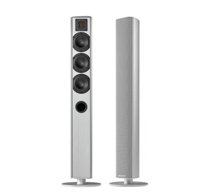 Piega: ACE 50 TX en RX Actieve Vloerstaande Speaker -  2 stuks - Zilver