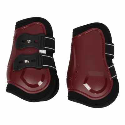 QHP Champion kogelbeschermers bordeaux maat:cob QHP Champion kogelbeschermers bordeaux maat:cob