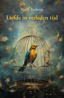 Liefde in verleden tijd (Paperback)