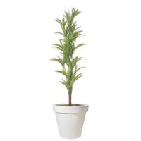 Pro Garden Bloempot - wit - rond - D40 cm - kunststof - plantenpot - tuin buiten