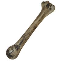 Decoratie bot - 27 cm - plastic - Halloween - Horror thema kerkhof versiering - nep botten