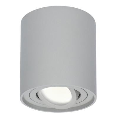 Ronde LED Opbouwspot Ray - 5 Watt 400 lumen - 4000K neutraal wit - Kantelbaar - GU10 - Opbouwspot - IP20 Voor binnen - Grijs - Dimbaar