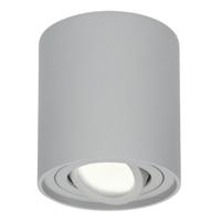 Ronde LED Opbouwspot Ray - 5 Watt 400 lumen - 4000K neutraal wit - Kantelbaar - GU10 - Opbouwspot - IP20 Voor binnen - Grijs - Dimbaar