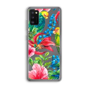 Papegaaien: Samsung Galaxy A41 Transparant Hoesje